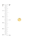 5.5mm Flat Round Pebble Stud Earrings