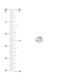 5.5mm Flat Round Pebble Stud Earrings