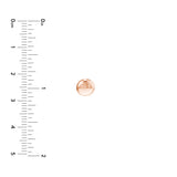 7.0mm Flat Round Pebble Stud Earrings