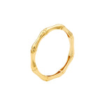 Dainty Bamboo Band