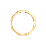 Dainty Bamboo Band
