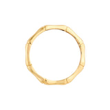 Dainty Bamboo Band