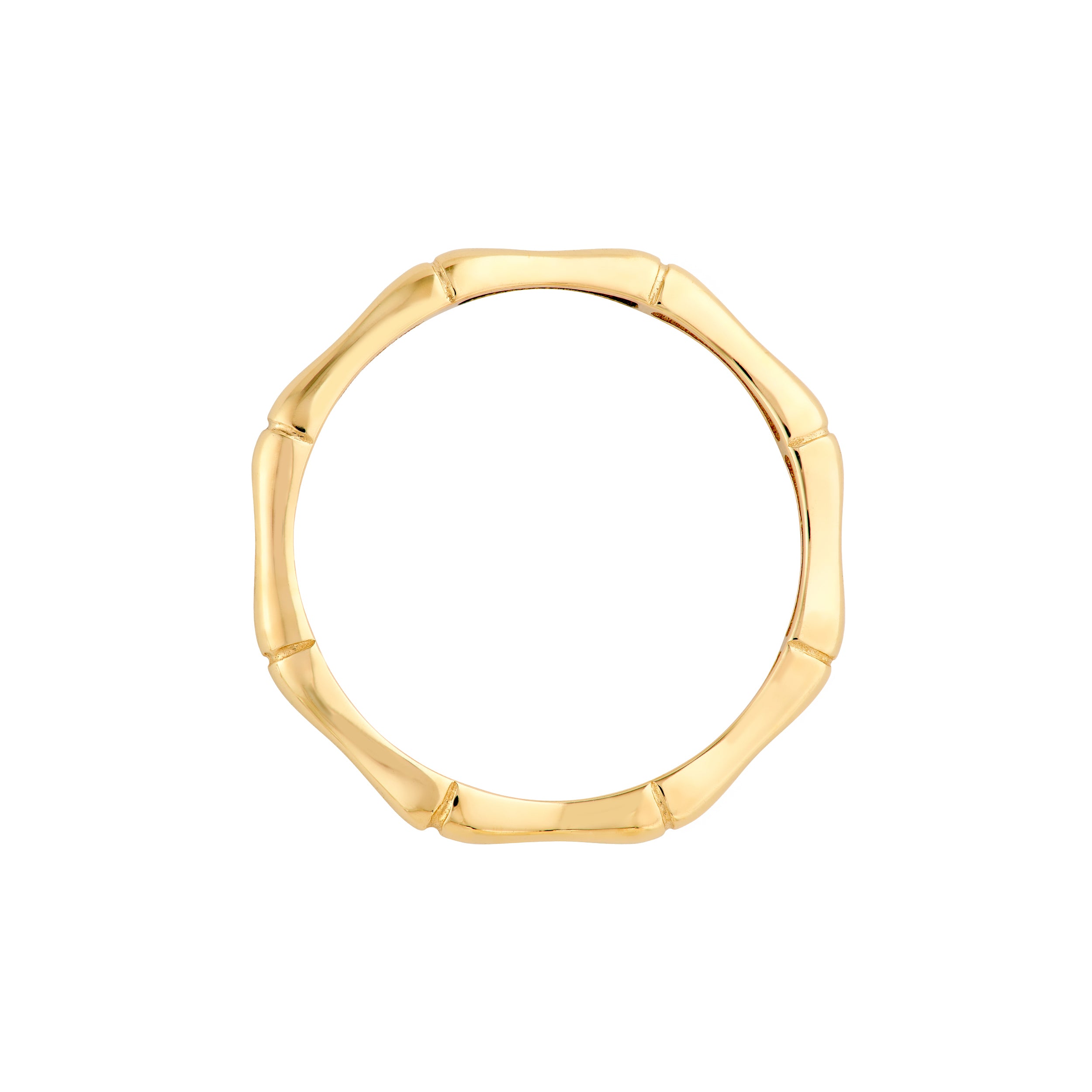 Dainty Bamboo Band