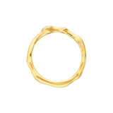Diamond Duo Organic Ring