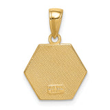14k Enameled Textured Back Medical Disk Pendant