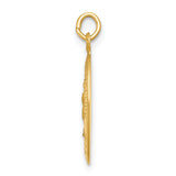14k Polished and Satin Our Lady of Guadalupe Medal Pendant