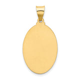 14k Polished and Satin Our Lady Guadalupe Medal Hollow Pendant