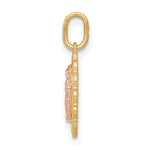 14k Two-tone Guadalupe Pendant
