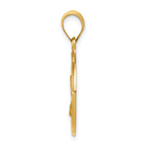 14k Polished and Satin St. Charles Medal Hollow Pendant