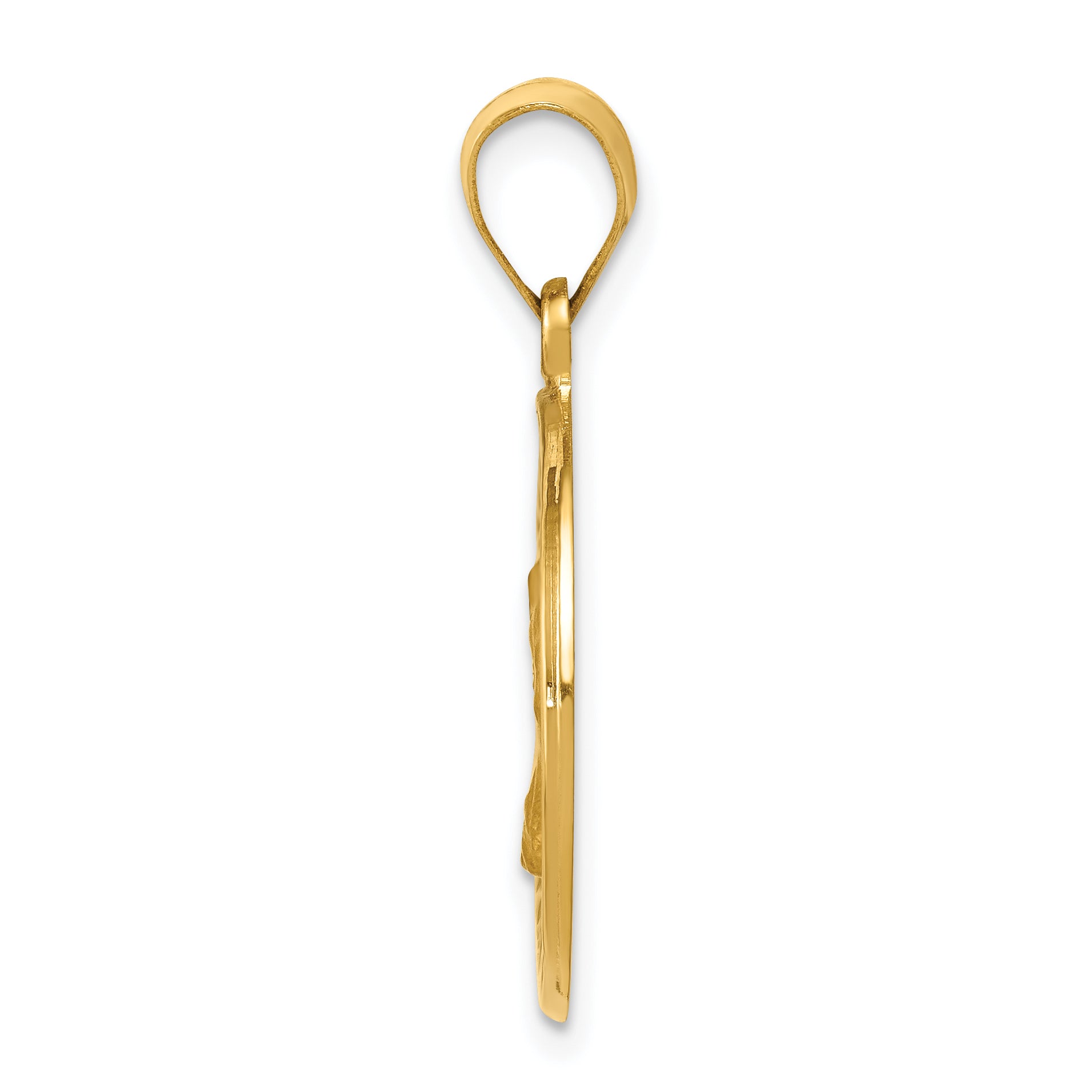 14k Polished and Satin St. Charles Medal Hollow Pendant