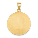 14k Polished and Satin St Francis Medal Hollow Pendant