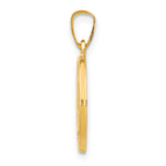14k Polished and Satin St Luke Medal Hollow Pendant