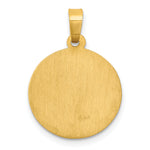 14k Polished and Satin St Luke Medal Hollow Pendant