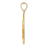 14k Polished and Satin Hollow Spanish Miraculous Medal Pendant