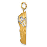 14K Hollow Polished/Satin w/Rhodium Large Jesus Medal