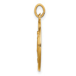 14k Solid Polished/Satin Small Round Miraculous Medal