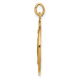 14k Solid Polished/Satin Large Round Miraculous Medal