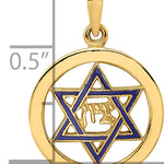 14k Polished and Enameled Solid Star of David Pendant
