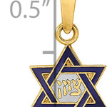 14k Polished and Enameled Solid Star of David Pendant