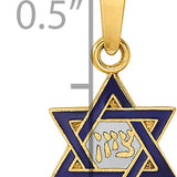 14k Polished and Enameled Solid Star of David Pendant