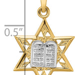 14k Two-tone Polished Solid Star and Torah Pendant
