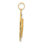 14K with Rhodium Satin and Polished Miraculous Medal Solid Oval Pendant