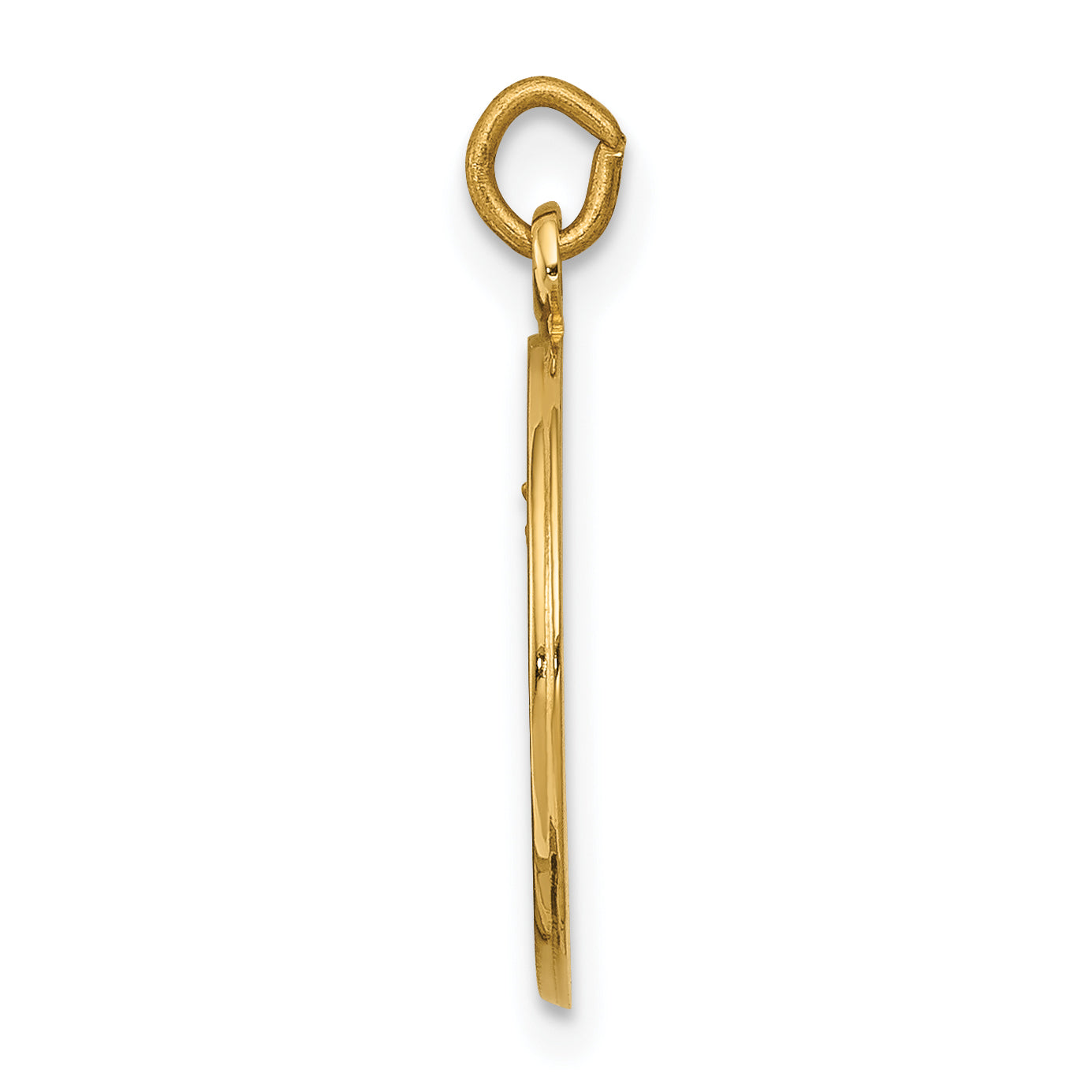 14k Our Lady of Mount Carmel Medal Charm