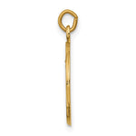 14k Our Lady of Mount Carmel Medal Charm
