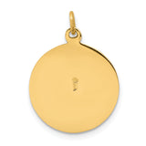 14k Saint Patrick Medal Charm