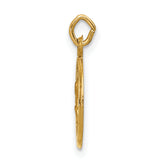 14k Saint Peter Medal Charm