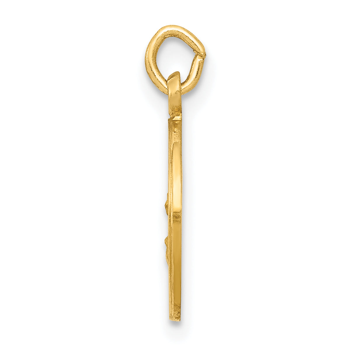 14k Our Lady Of The Assumption Medal Charm