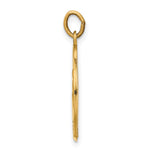 14k Saint Luke Medal Pendant